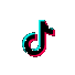 TikTok icon